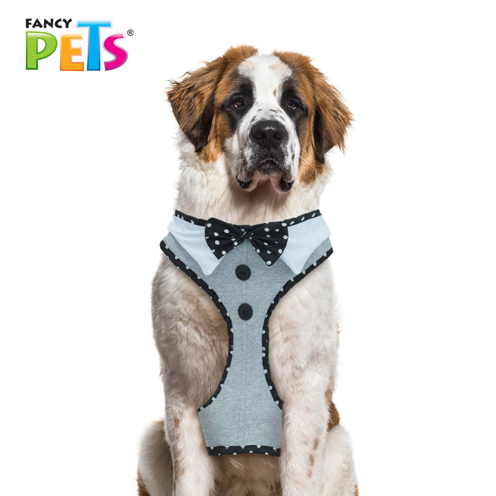ARNES MODELAJE CORBATIN FANCYPETS