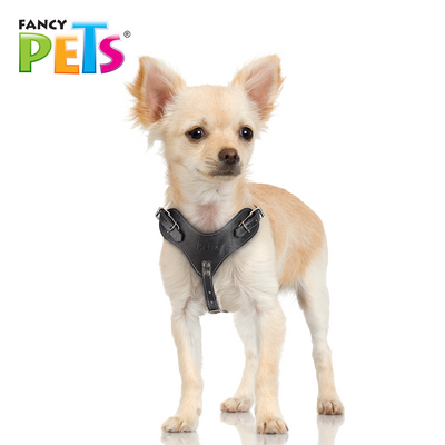 PECHERA DE PIEL NEGRA EXTREME TALLA 0/1 FANCYPETS