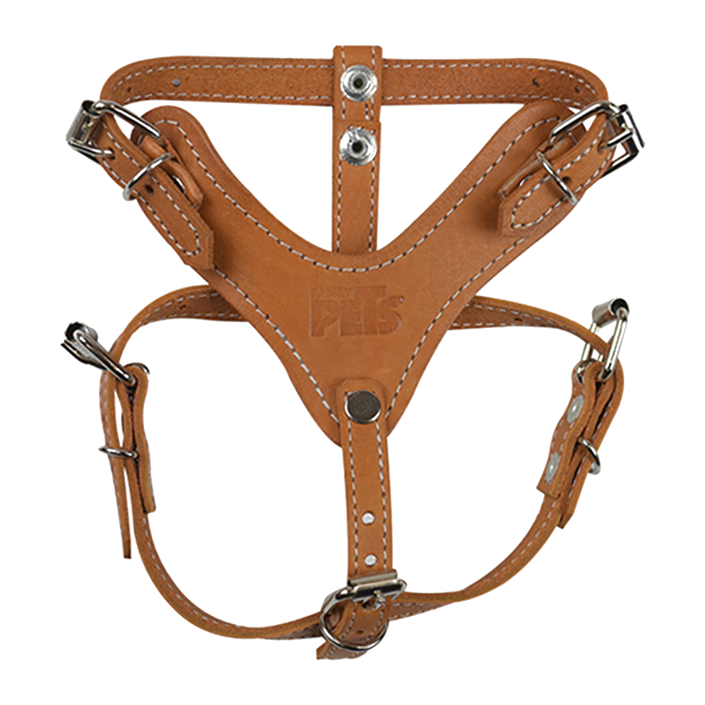 PECHERA DE PIEL CAFE EXTREME TALLA 0/1/2 FANCYPETS
