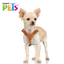 PECHERA DE PIEL CAFE EXTREME TALLA 0/1/2 FANCYPETS