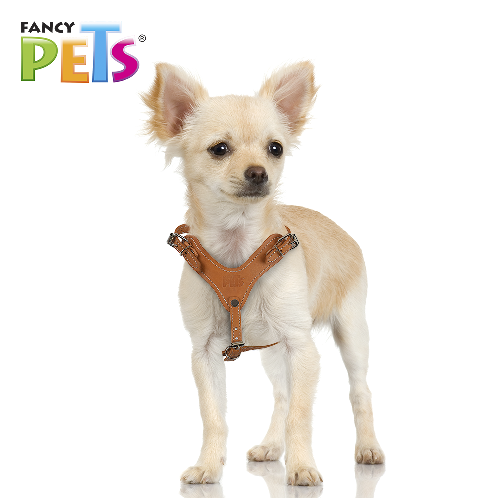 PECHERA DE PIEL CAFE EXTREME TALLA 0/1/2 FANCYPETS