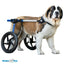 Walkin Petsm Silla de Ruedas Azul Grande con puntales y ruedas rellenas de espuma