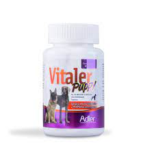 Adler - Vitaler-Puppy