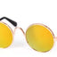 Paw Pets lentes circulares