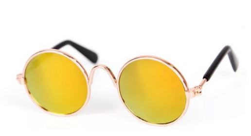 Paw Pets lentes circulares