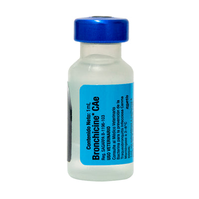 BORDETELLA CAE 1 DOSIS - ZOETIS