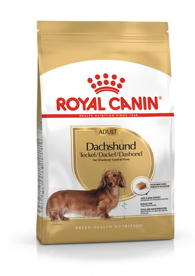 Royal Canin Dachshund Adulto