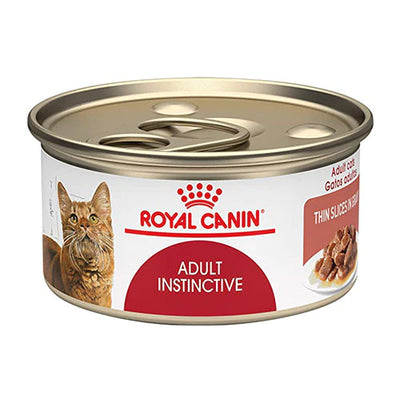 Royal Canin FCN Intense Beauty Thin Slices in Gravy