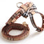 Paw Pets arnés Burberry