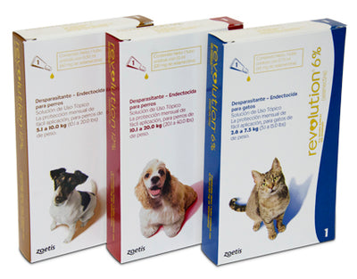 Zoetis Revolution Azul Gatos