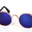 Paw Pets lentes circulares