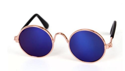 Paw Pets lentes circulares