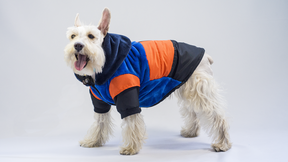 Urbandog Chamarra Balero
