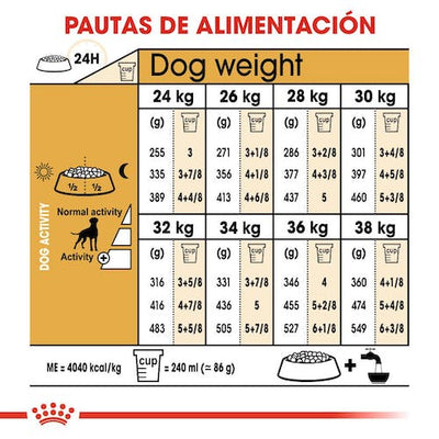 Royal Canin Boxer Adulto