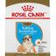 Royal Canin Bulldog Puppy