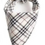 Paw Pets bandana Burberry