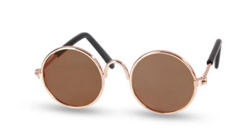 Paw Pets lentes circulares