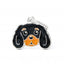 My Family Placa Perro Cavalier King