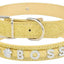 Paw Pets collar brilloso sin letras