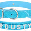Paw Pets collar brilloso sin letras
