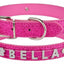 Paw Pets collar brilloso sin letras
