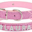 Paw Pets collar brilloso sin letras