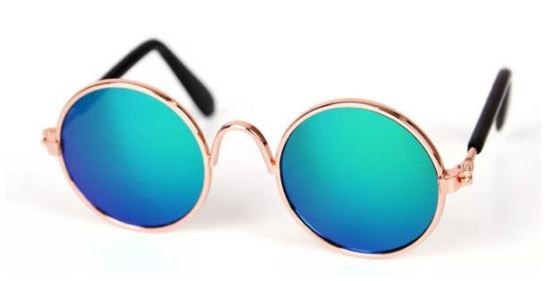 Paw Pets lentes circulares
