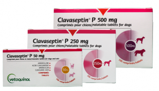 CLAVASEPTIN - VETOQUINOL