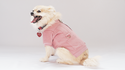 Urbandog Sudadera Clove
