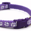 Paw Pets collar nailon