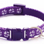 Paw Pets collar nailon