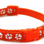 Paw Pets collar nailon