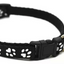 Paw Pets collar nailon