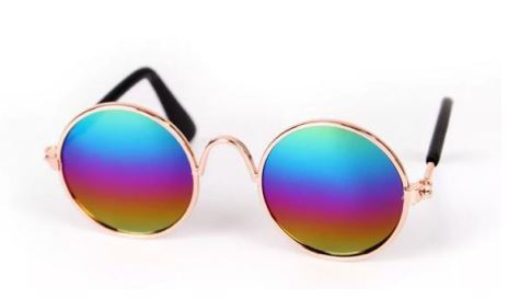 Paw Pets lentes circulares
