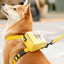 Paw Pets  mochila con correa