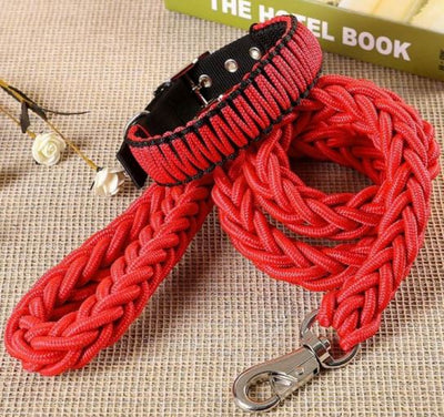 Paw Pets  collar con correa tejida