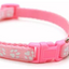 Paw Pets collar nailon