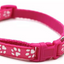 Paw Pets collar nailon