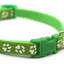 Paw Pets collar nailon