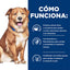 Hill's Prescription Diet Derm Complete Alimento Seco Receta de Arroz y Huevo para Perros