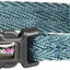 DogLine - Collar de Nylon