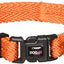 DogLine - Collar de Nylon