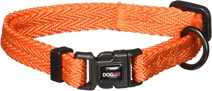 DogLine - Collar de Nylon