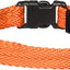 DogLine - Collar de Nylon