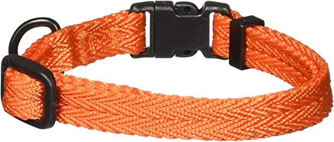 DogLine - Collar de Nylon