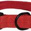 DogLine - Collar de Nylon