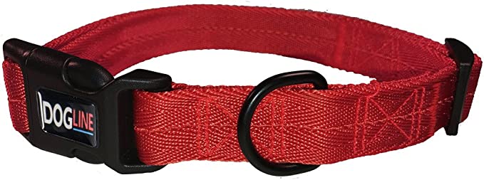 DogLine - Collar de Nylon