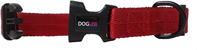 DogLine - Collar de Nylon