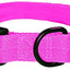 DogLine - Collar de Nylon