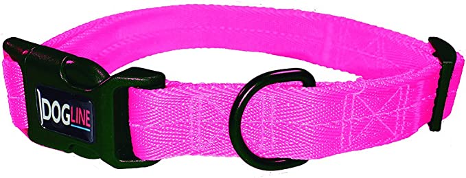 DogLine - Collar de Nylon